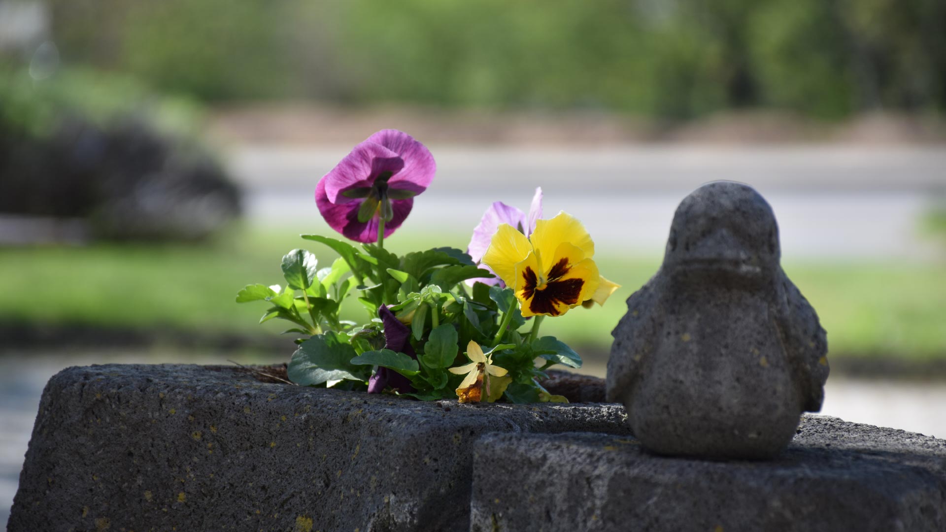 Aktuelles Testeintrag 01